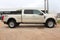 2017 Ford Super Duty F-350 SRW Pickup Platinum